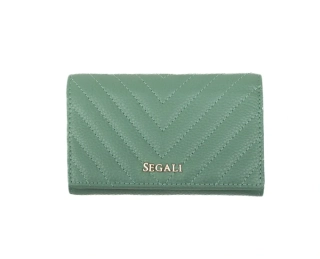 Dámská peněženka SEGALI 50512 - lt.green